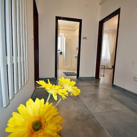 Apartment Mario 1253